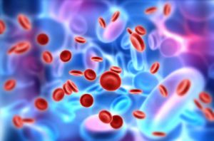 Cancer Services - Cancer Types - Haematology Cancer - Introduction Cancer Services - Cancer Types - Haematology Cancer - Introduction
